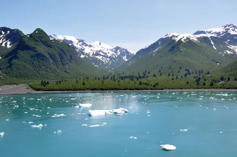 The Alaskan Gulf