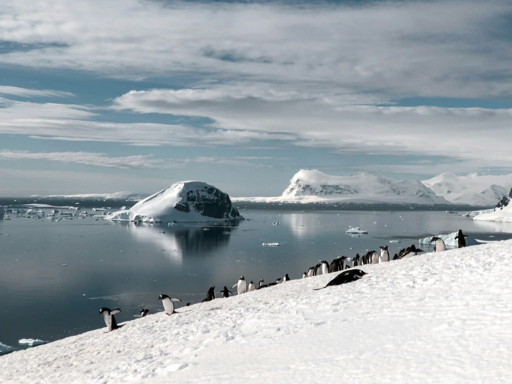 Classic Antarctica Cruise: Antarctic Peninsula Route