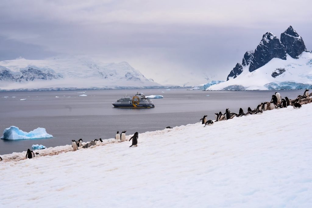 Expedition cruise ship in Antarctica during peak summer season