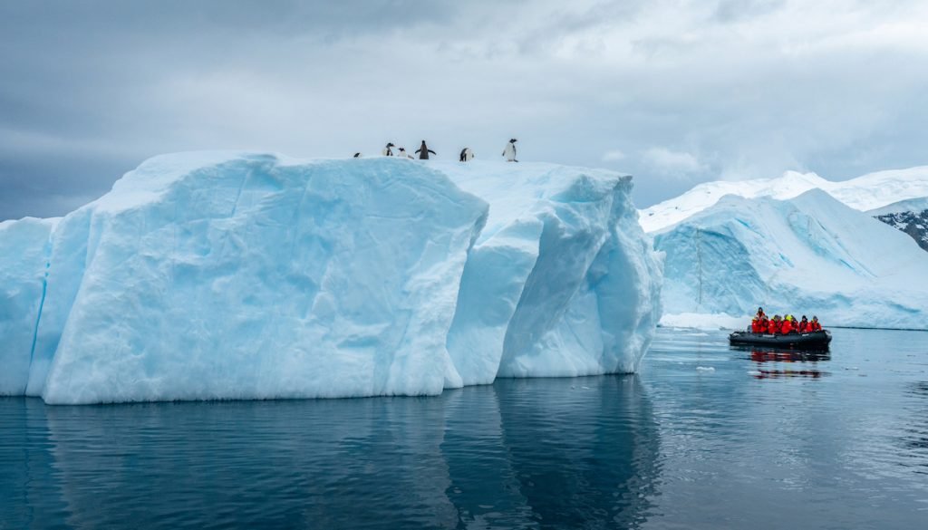 Penguins near an Antarctic landing site visited by expedition cruise ships